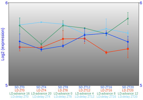 Expression graph