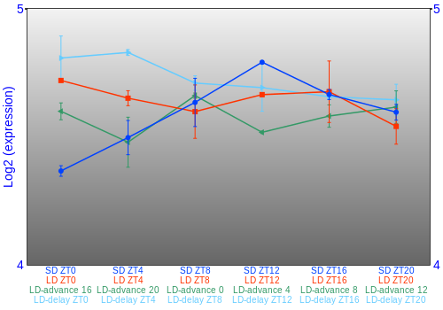 Expression graph