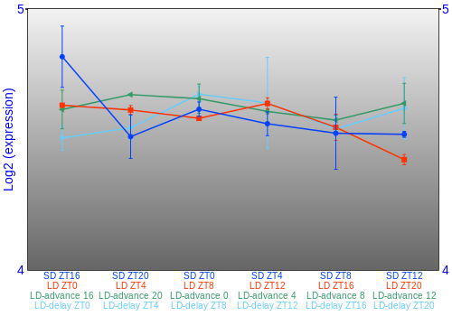 Expression graph