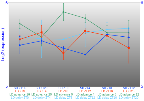 Expression graph