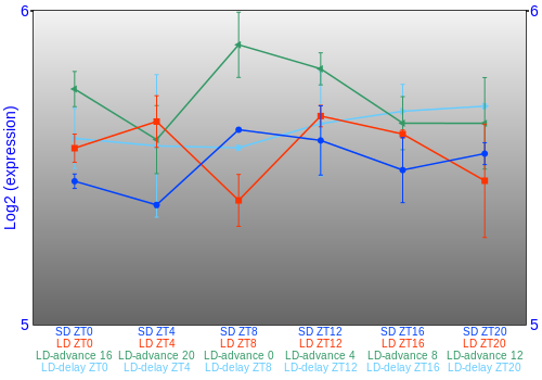 Expression graph
