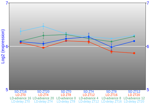 Expression graph