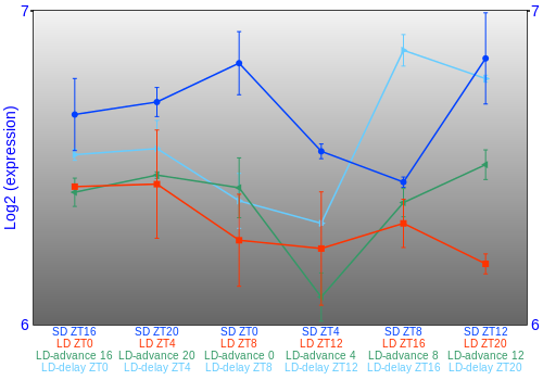 Expression graph