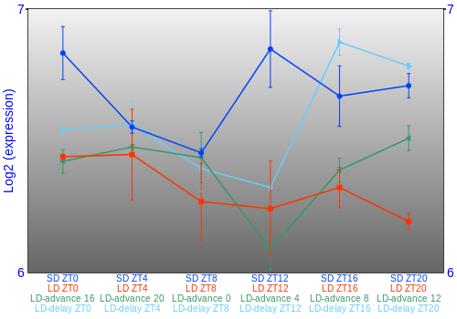 Expression graph