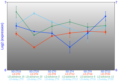 Expression graph