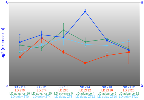 Expression graph
