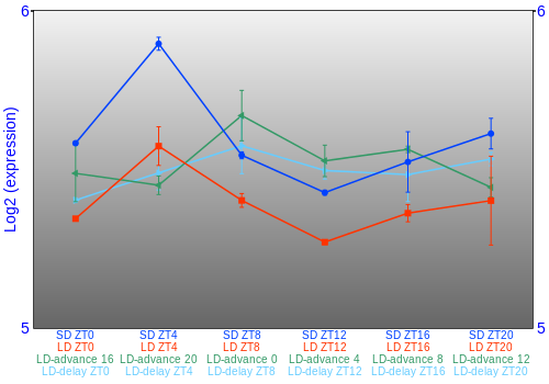 Expression graph