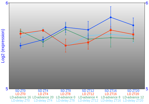 Expression graph