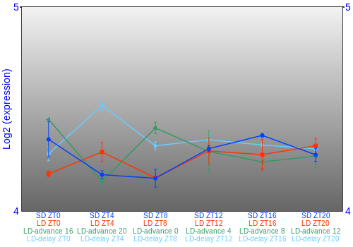 Expression graph