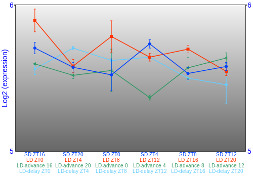 Expression graph