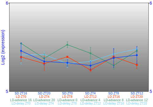 Expression graph