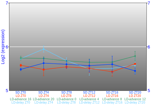 Expression graph