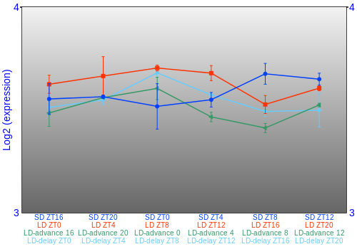 Expression graph