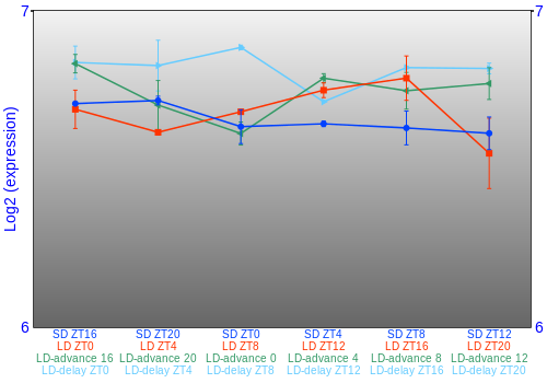 Expression graph
