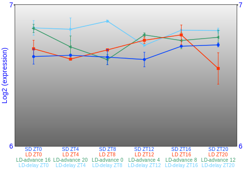 Expression graph
