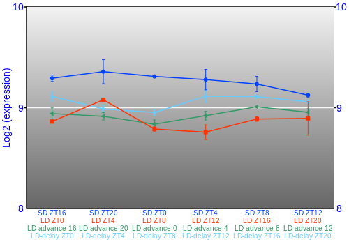 Expression graph