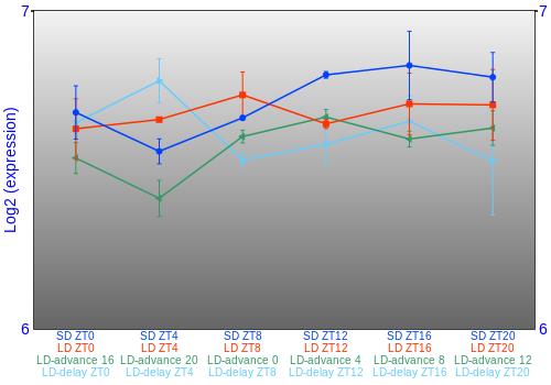 Expression graph