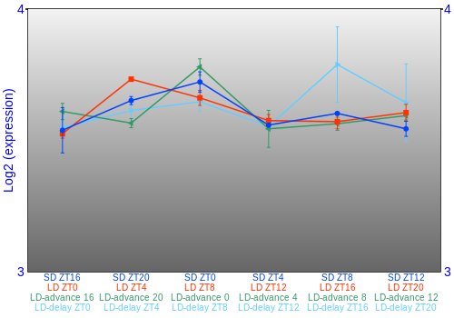 Expression graph