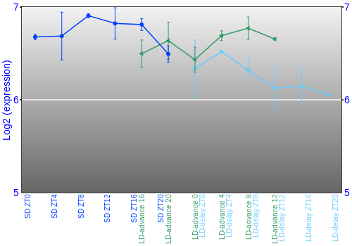Expression graph