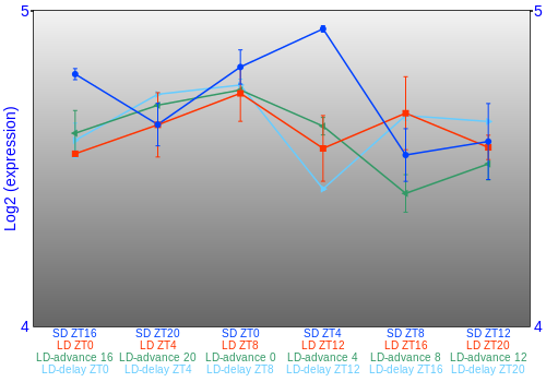Expression graph