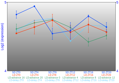 Expression graph