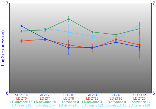 Expression graph