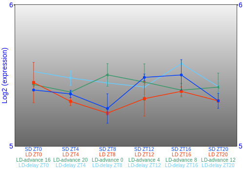Expression graph