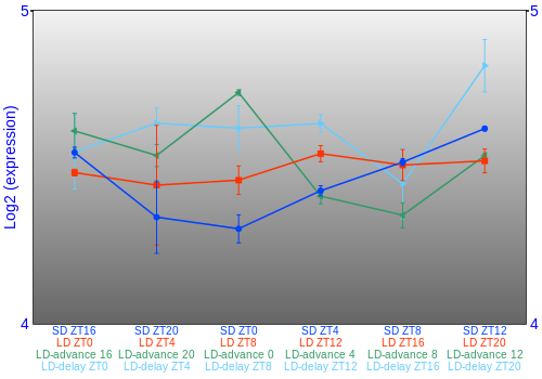 Expression graph