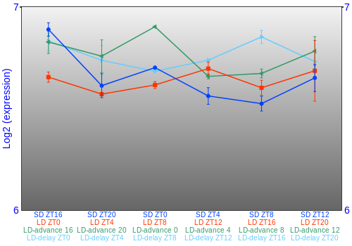 Expression graph
