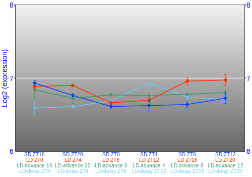 Expression graph