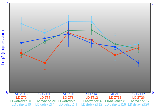 Expression graph