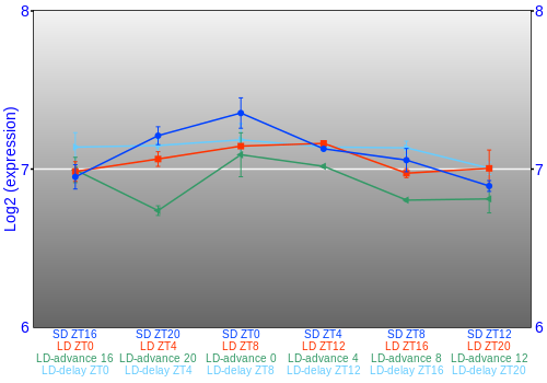 Expression graph