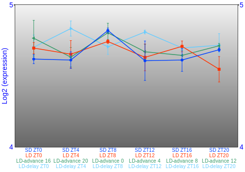 Expression graph