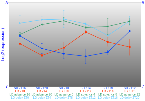 Expression graph