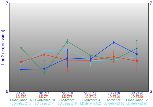 Expression graph