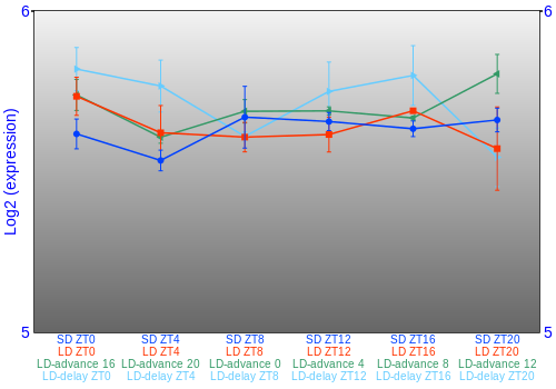 Expression graph