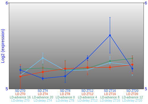 Expression graph