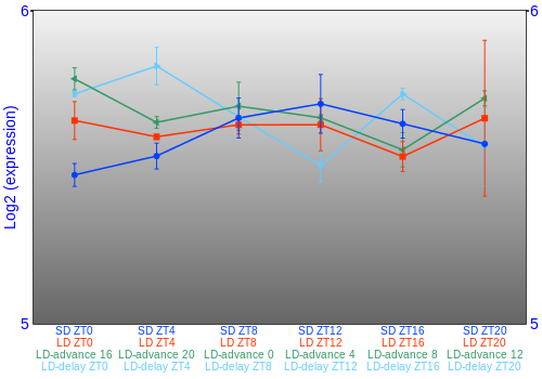 Expression graph