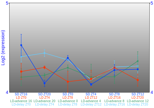 Expression graph