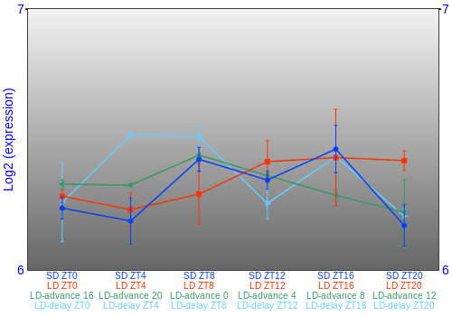 Expression graph