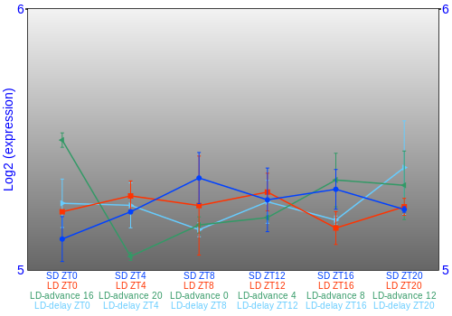 Expression graph