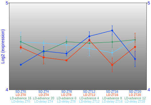 Expression graph