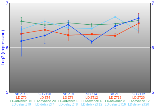 Expression graph