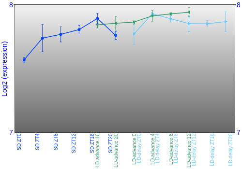 Expression graph