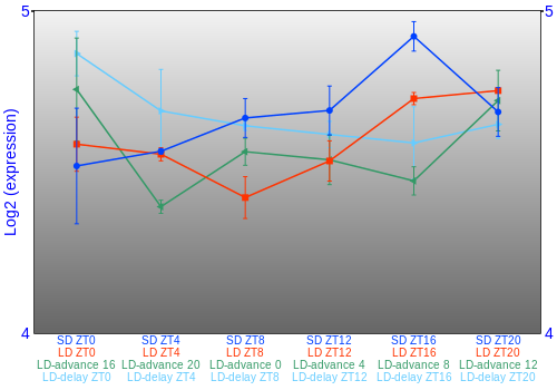 Expression graph