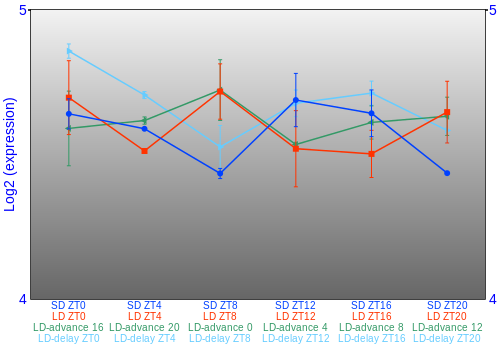 Expression graph