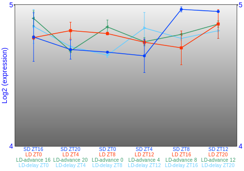 Expression graph