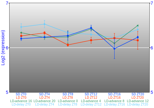 Expression graph