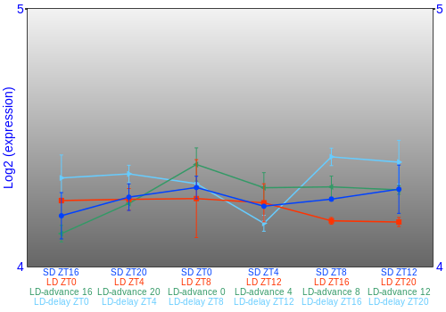 Expression graph