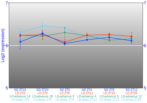Expression graph